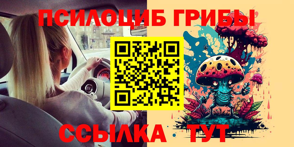 купить наркотики цена  Вход с VPN  Обнинск  Галлюциногенные грибы ЛСД  Псилоцибиновые грибы Psilocybine cubensis 