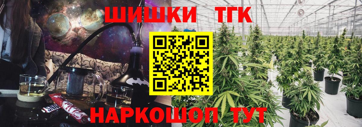 Канабис сатива Обнинск
